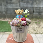 ★送料無料★♡そのまま飾れる♡バレンタイン♬くまちゃんの可愛い多肉植物寄せ植え╰(*´︶`*)╯♡
