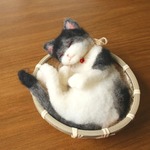 かご猫　ごま　⑬