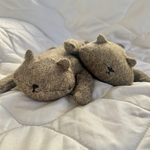 パンとビッキーの蹴りぐるみฅ^•ω•^ฅマタタビはオプション選択で♡