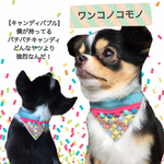 夏のオシャレ♡バンダナ首輪