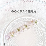 みるくりんご様専用