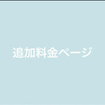 追加料金ページ