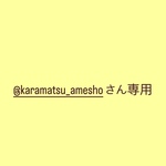 @karamatsu_ameshoさん専用