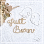 ウールレター Just Born ニューボーンフォトセット