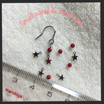 small coral & small star ピアス