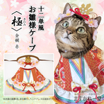 【3点限定】桃色のお雛様