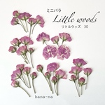 🌸little woods 30   ＊ 押し花