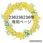 236236236様専用ページ