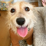 さく様専用ページ
