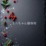 ミニちゃん様専用
