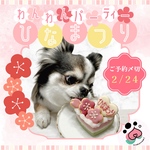 【専用ページ】3回購入割♡mini1323様