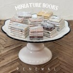 豆本セット⌇【renewal♡】ミニチュア本　ミニチュアBOOK
