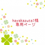hayakazutai様専用ページ　レッスンバッグ　等計9点 《工事車両　働く車　車　消防車　パトカー》男の子