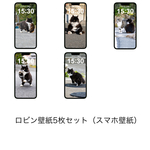ロビン壁紙５枚セット（スマホ壁紙）