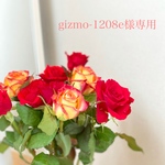 gizmo-1208e様専用です