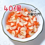 【受注生産】高級りんご40個 ミニチュア フルーツ スイーツ デコレーション 樹脂粘土 ハンドメイド パーツ カットりんご カットフルーツ デコパーツ フルーツパーツ りんご 林檎 フェイクフルーツ