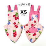 鳩のオムツ・キジバト用（XS)（バードスーツ.バードダイパー）ブルーベリー