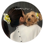 ミモザと菜の花のシュシュ⁂｜春限定・手編み【親子・ペットとお揃い】犬用アクセサリー