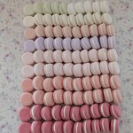 『momoさまオーダー品』クレイのマカロン