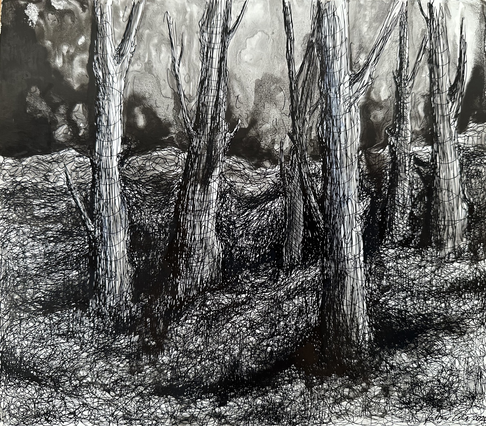森の木々 風景画 インク画