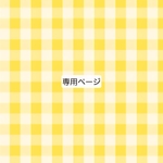 【専用ページ】追加オプション+送料