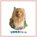 Q様専用フォームです
