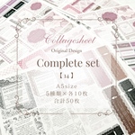 complete set 【14】