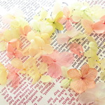 ✩紫陽花☆花びら40輪✩パステルカラー黄色ミックス✩レジンなどに。