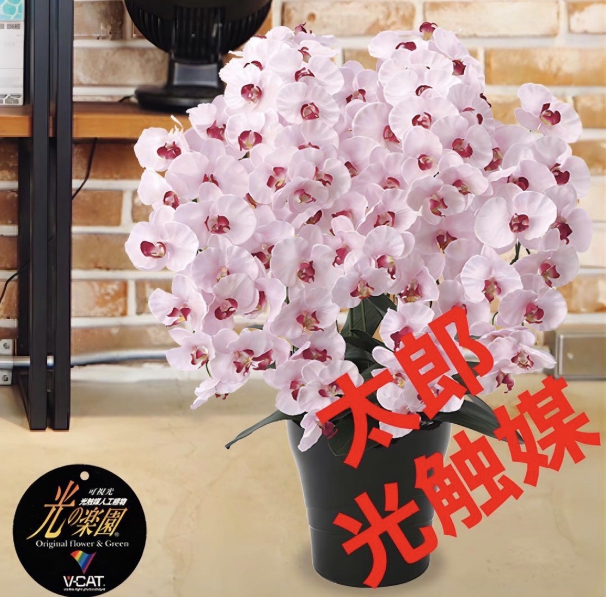 光触媒　人工観葉植物　フェイクグリーン　プレミアム胡蝶蘭7本立P