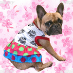 犬服オーダー★パグぶる＆派手ドットワンピース中型犬小型犬フレンチブルドッグパグフレブル服