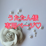 うたたん様専用ページ♡