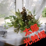 光触媒　人工観葉植物　ウォールグリーン　フェイクグリーン　寄せ植えユーカリ