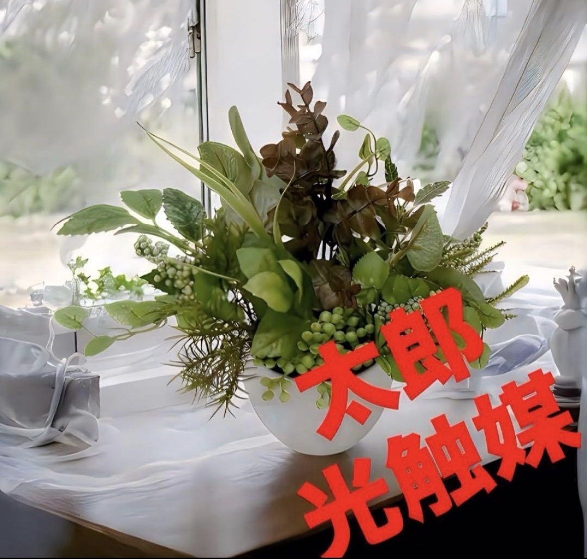 光触媒 人工観葉植物 ウォールグリーン フェイクグリーン ストレッチア