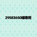 29583650様専用