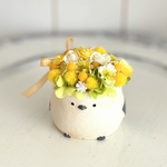 ミモザのシマエナガさん 🌼 花かんむり