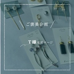 ご褒美企画 【ネックレス×2点、ピアス×1点】