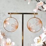 額縁の中の朝桜