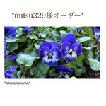 *mitsu329様オーダー*