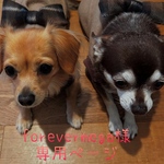 🐶forevermega様専用ページ🐶