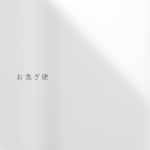 お急ぎ対応　ねこぽす便