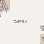 Co様専用ページ