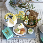 Spring mimosa  セット🟡✨🌿