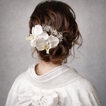 《再販》胡蝶蘭 ドライフラワーヘッドパーツ 髪飾り ヘアアクセサリー 結婚式 和装 ブライダル 成人式 卒業式 白無垢