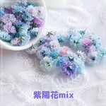  かすみ草　遊色カラー　（紫陽花MIX）