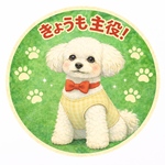 【さくらちゃんこはるちゃん予約品】メッセージワッペン　トイプードルさん