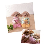 yanagida様専用♡袴わんこ　うちの子オーダー　MII WOOL