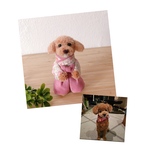 rere…様専用♡袴わんこ　うちの子オーダー　MII WOOL