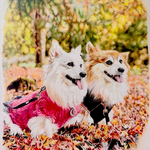 色鉛筆画 【背景あり】ペットの似顔絵  うちの子オーダー  犬  貓  プレゼント