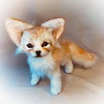 アートドール『フェニャ』,フェネック,