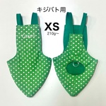 鳩のオムツ・キジバト用（XS)（バードスーツ.バードダイパー）２ミリ玉グリーン